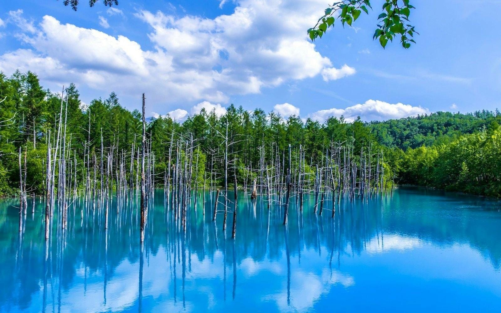 Hokkaido region scenery
