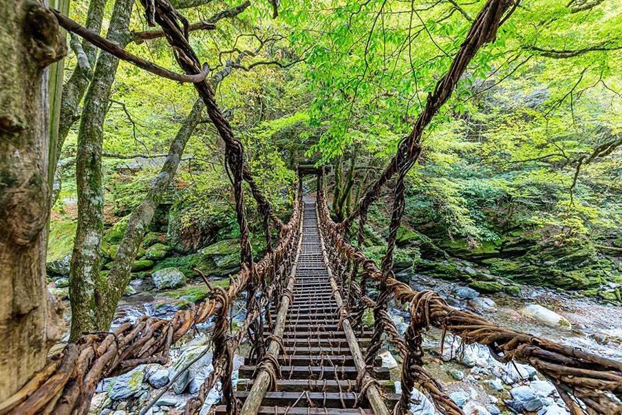 Shikoku vine bridge over an Iya Valley gorge